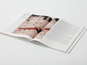 書籍設(shè)計 從內(nèi)容到視覺的藝術(shù)融合